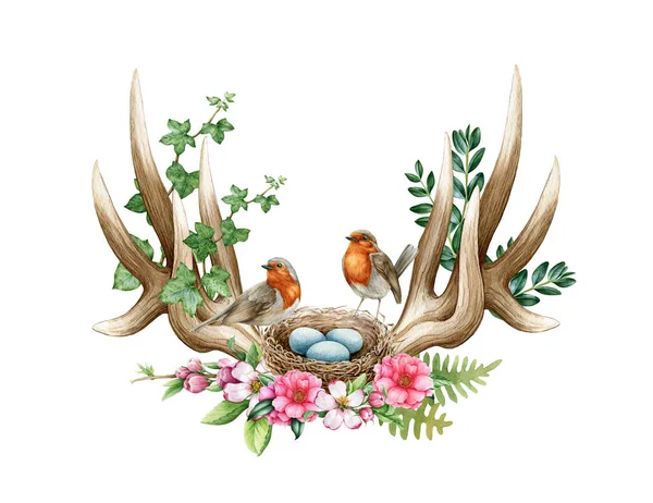 Decoración Floral Del Bosque Natural Primavera Con Aves Robin Ilustración — Foto de Stock