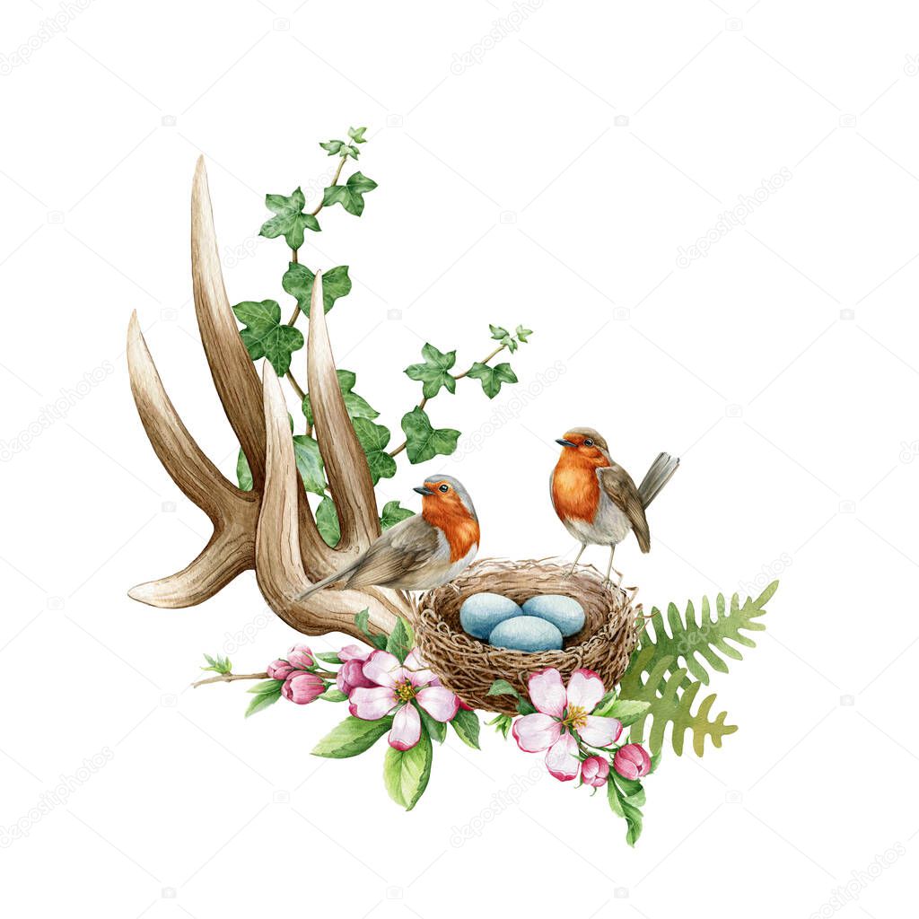 Forest natural spring floral decoration with robin birds. Watercolor illustration. Cute cozy flower decor from horns, fern, ivy, nest, birds, pink tender flowers. Rustic style floral decor with robin.