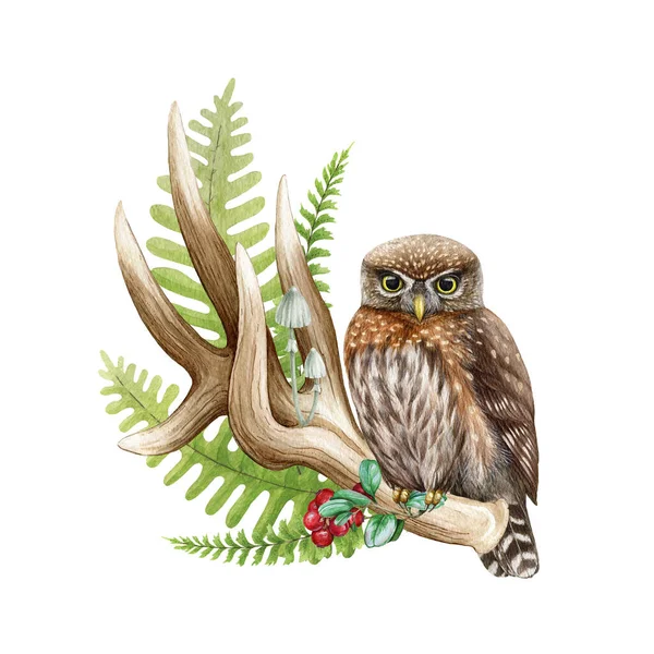 Malá Hnědá Sova Rohu Ilustrace Akvarelů Ručně Kreslený Lesní Přírodní — Stock fotografie