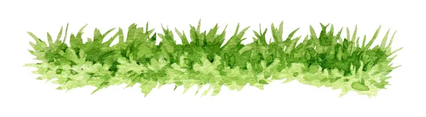 Zöld Buja Kézzel Rajzolt Akvarell Illusztráció Zöld Lezárja Rét Elemét — Stock Fotó
