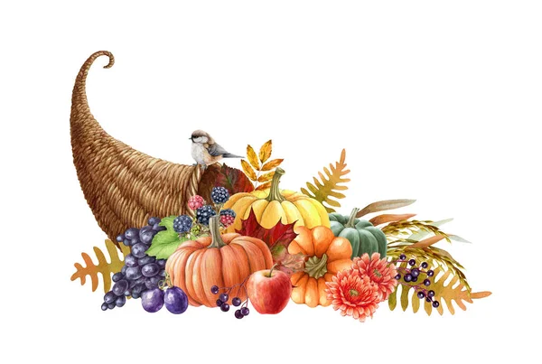 Harvest cornucopia hand drawn watercolor illustration. Festive thanksgiving cornucopia with pumpkins, grapes, apples, autumn flowers and leaves. Autumn seasonal decoration. White background.
