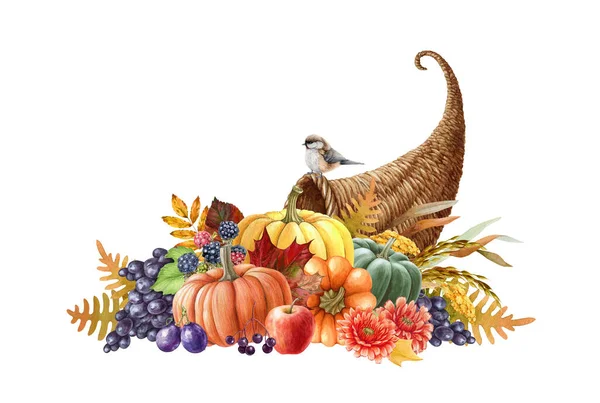 Harvest cornucopia watercolor illustration. Hand drawn festive thanksgiving cornucopia with pumpkins, grapes, apples, autumn flowers and leaves. Autumn seasonal decoration. White background.