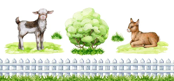 Kis Kecske Mezőgazdasági Elemek Akvarell Illusztráció Készlet Kézzel Rajzolt Kis — Stock Fotó