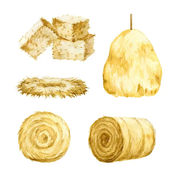 Saman ve saman suluboya çizim seti yapıyor. El yapımı saman rulosu, yığın, tuğla elementler. Kuru çim çiftliği ve çiftlik hayvanları için farklı şekillerde hasat seti. Beyaz arkaplanda izole.
