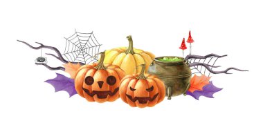 Cadılar Bayramı korkunç dekor. Suluboya çizimi. Cadılar Bayramı süslemeleri, balkabakları, cadı tenceresi, örümcek ağı, mantarlar ve kuru dallar. Beyaz arkaplan.