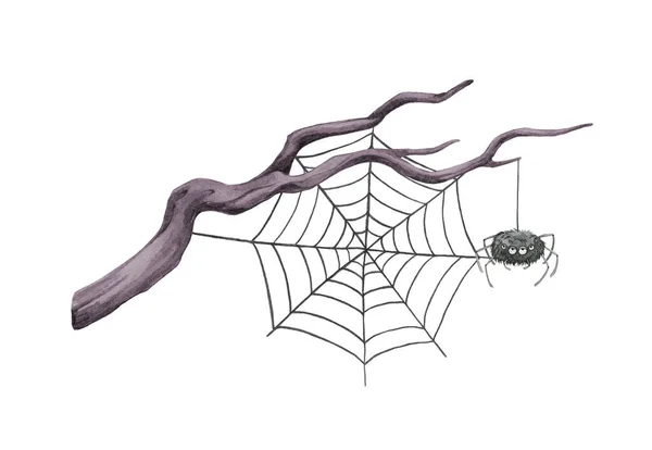 Száraz Faág Pókhálóval Akvarell Illusztráció Kézzel Rajzolt Száraz Faág Pókokkal — Stock Fotó