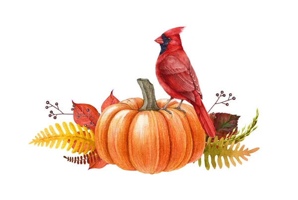 Decorazione Della Stagione Autunnale Con Zucca Uccello Cardinale Illustrazione Acquerello — Foto Stock