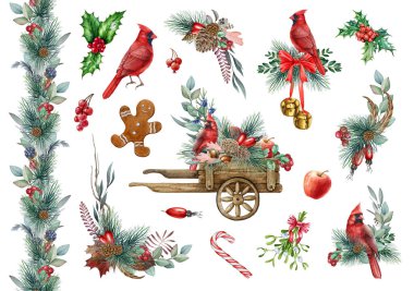 Kardinal kuşla birlikte kış dekoru. Suluboya çizimi. Çam, okaliptüs, böğürtlen ve kırmızı kardinal koleksiyonuyla el çizimi geleneksel Noel çiçekleri..