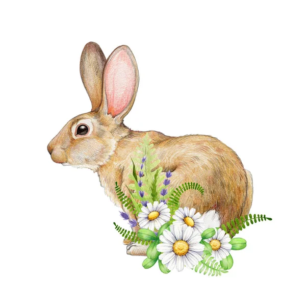 데이지 귀여운 수채화 그림입니다 아늑한 토끼와 부활절 손으로 귀여운 데이지 — 스톡 사진