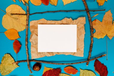 Sarı, kırmızı yapraklı sonbahar modeli. Firavun külahları ve yazıt için beyaz bir sayfa..