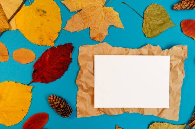 Sarı, kırmızı yapraklı sonbahar modeli. Firavun külahları ve yazıt için beyaz bir sayfa..