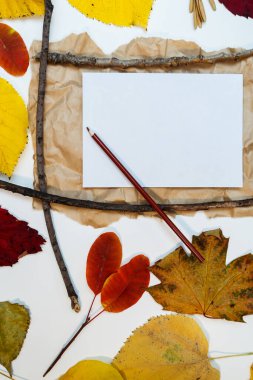 Sarı, kırmızı yapraklı sonbahar modeli. Firavun külahları ve yazıt için beyaz bir sayfa..
