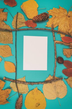 Sarı, kırmızı yapraklı sonbahar modeli. Firavun külahları ve yazıt için beyaz bir sayfa..