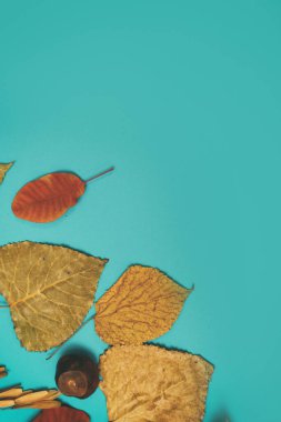 Sarı, kırmızı yapraklı sonbahar modeli. Firavun külahları ve yazıt için beyaz bir sayfa..