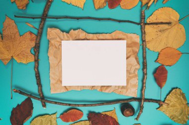 Sarı, kırmızı yapraklı sonbahar modeli. Firavun külahları ve yazıt için beyaz bir sayfa..