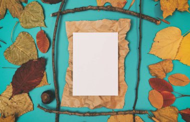 Sarı, kırmızı yapraklı sonbahar modeli. Firavun külahları ve yazıt için beyaz bir sayfa..