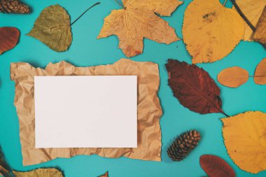 Sarı, kırmızı yapraklı sonbahar modeli. Firavun külahları ve yazıt için beyaz bir sayfa..