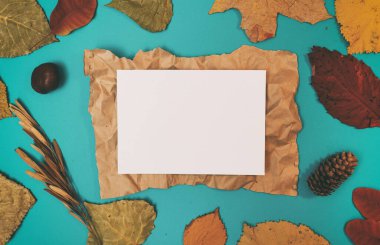 Sarı, kırmızı yapraklı sonbahar modeli. Firavun külahları ve yazıt için beyaz bir sayfa..