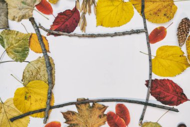 Sarı, kırmızı yapraklı sonbahar modeli. Firavun külahları ve yazıt için beyaz bir sayfa..
