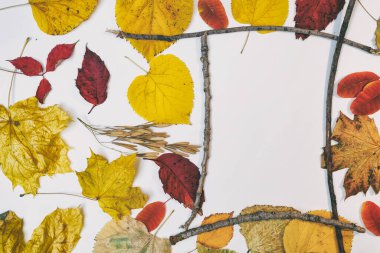 Sarı, kırmızı yapraklı sonbahar modeli. Firavun külahları ve yazıt için beyaz bir sayfa..