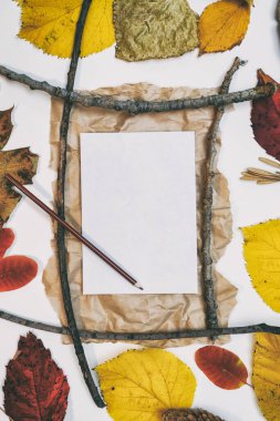 Sarı, kırmızı yapraklı sonbahar modeli. Firavun külahları ve yazıt için beyaz bir sayfa..