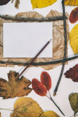 Sarı, kırmızı yapraklı sonbahar modeli. Firavun külahları ve yazıt için beyaz bir sayfa..