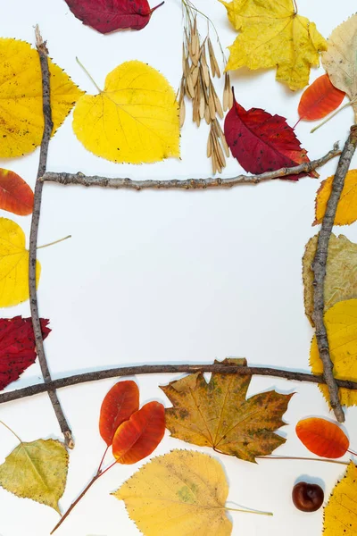 가을에는 노랗고 비문에 — 스톡 사진