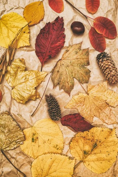 가을에는 노랗고 비문에 — 스톡 사진