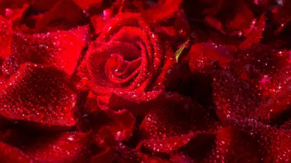 Fleur Rose Sur Fond Pétales Pastel Toile Peinture Huile — Photo