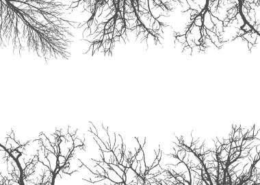 Texture of tree branches on isolate frame
