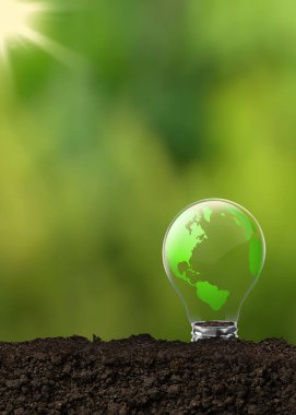 Çevre koruma, yenilenebilir, sürdürülebilir enerji kaynakları. Ampulde büyüyen bitki