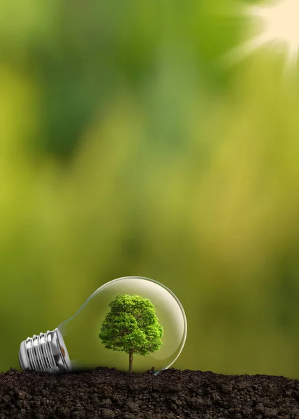 Environmental Protection Renewable Sustainable Energy Sources Plant Growing Bulb — Stock Photo, Image