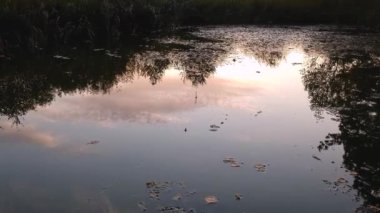 Şamandıra seğiriyor. Yazın gün batımında oltayla balık tutma anı.
