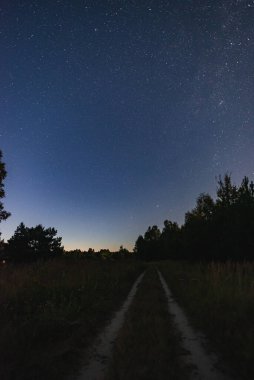 Büyük bir panorama, ormana uzanan kırsal bir yol. Yıldızlı gökyüzü Samanyolu 'nun üstünde