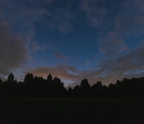 Claro Cerca Del Bosque Bajo Cielo Estrellado Verano — Foto de Stock