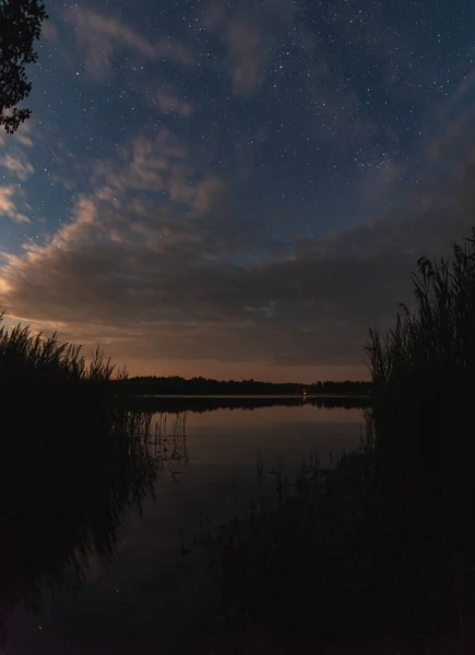 Lake Forest Starry Summer Sky Moonlight — Stock Photo, Image