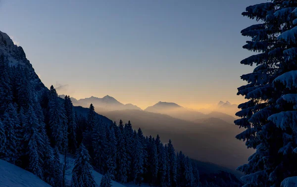 Tmavý Alpský Les Mlhavými Horami Barevném Západu Slunce Pozadí — Stock fotografie
