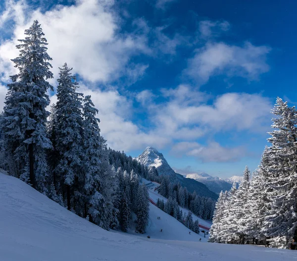 Pistes Ski Forêt Avec Vue Sur Majestueux Sommet Alpin Garmisch — Photo