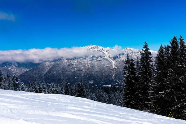 Woud Met Besneeuwde Bergtoppen Achtergrond Onder Blauwe Lucht Beierse Alpen — Stockfoto