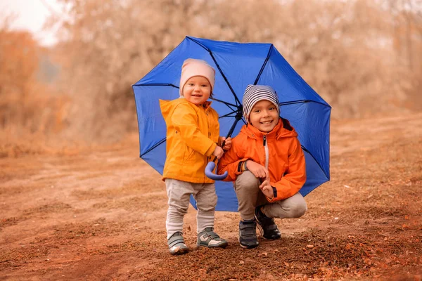 2人の子供 幼児の男の子と女の子 秋の公園で青い傘の下に隠れています 笑顔の子供たちは 弟と妹 傘を屋外で遊んで 背景に茶色の葉 楽しい時間を過ごす子供たち — ストック写真