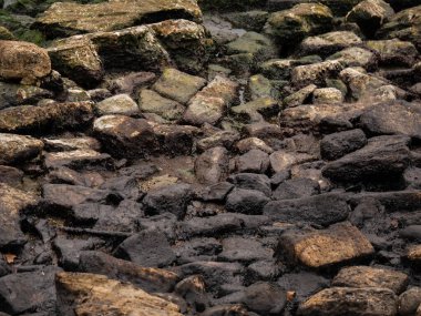 Kumsaldaki turkuaz denizin yüzeyinde kirli yağlı film. Endüstriyel atık su sızıntısı. Yağ film kirliliği. Suyun üstünde renkli bir yağ filmi. endüstriyel atık su dökülmesi.