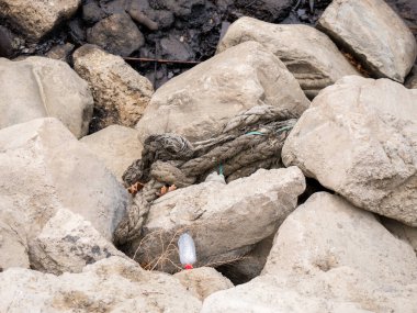 Bakü. Azerbaycan: 08.10.2021 Hazar denizindeki plastik atık kirliliği. Doğrudan denize atılan plastik su şişeleri ve poşetler..