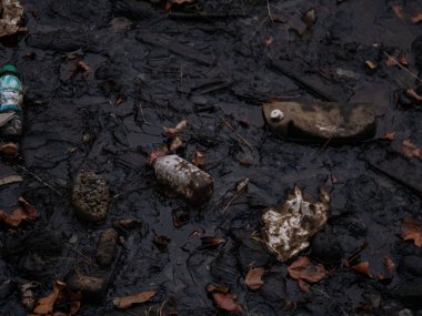 Bakü. Azerbaycan: 08.10.2021 Hazar denizindeki plastik atık kirliliği. Doğrudan denize atılan plastik su şişeleri ve poşetler..