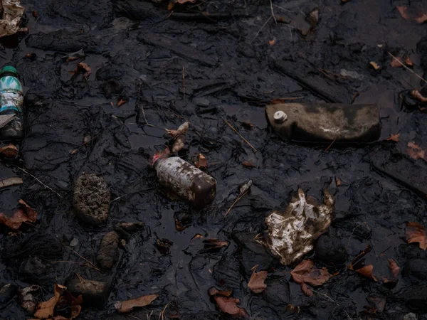 Bakü. Azerbaycan: 08.10.2021 Hazar denizindeki plastik atık kirliliği. Doğrudan denize atılan plastik su şişeleri ve poşetler..