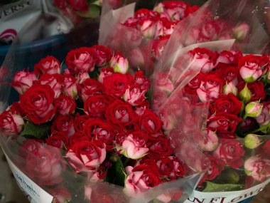 Bouquet of  roses flowers. Bouquet of roses. red, yellow, white flowers