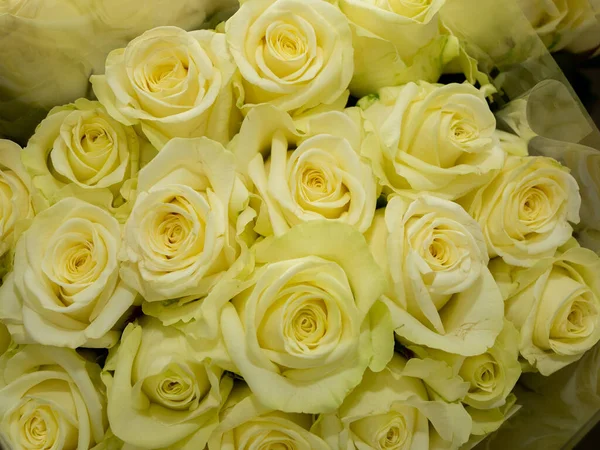 Букет Квітів Троянд Букет Троянд Червоні Жовті Білі Квіти Стокове Зображення