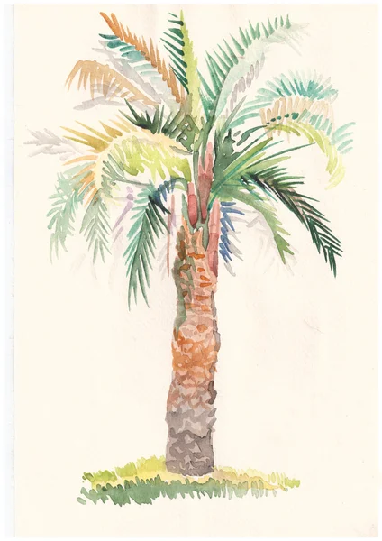 Çizim palm