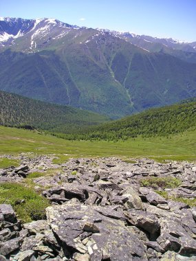 Altay Dağları