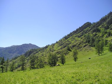Altay Dağları