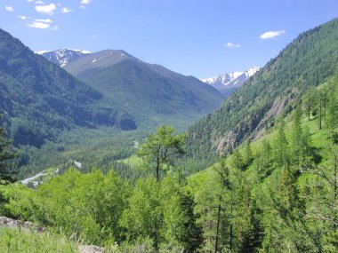 Altay Dağları